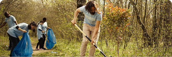 Sustainability education